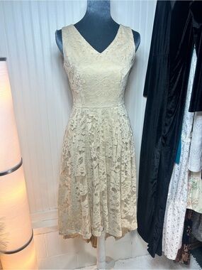 Cream Lace V-Neck Fit-and-Flare Dress